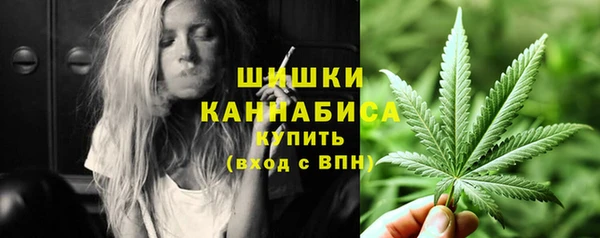 PSILOCYBIN Медвежьегорск