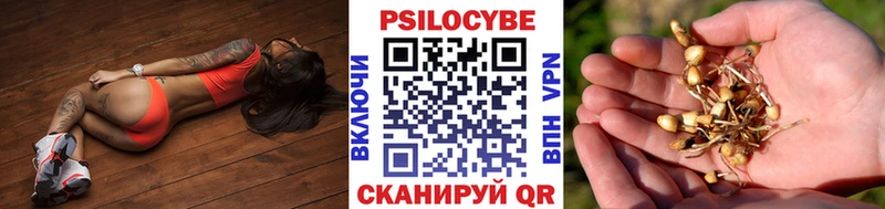 сколько стоит  Арсеньев  Галлюциногенные грибы мухоморы 